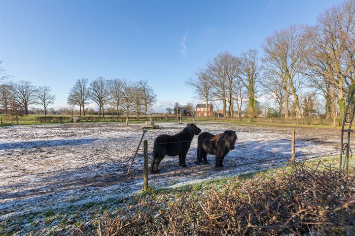 Bekijk foto 9 van Aaltenseweg 2