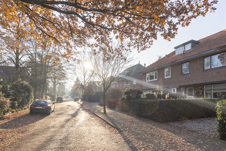 Bekijk foto 48 van van Straelenlaan 14