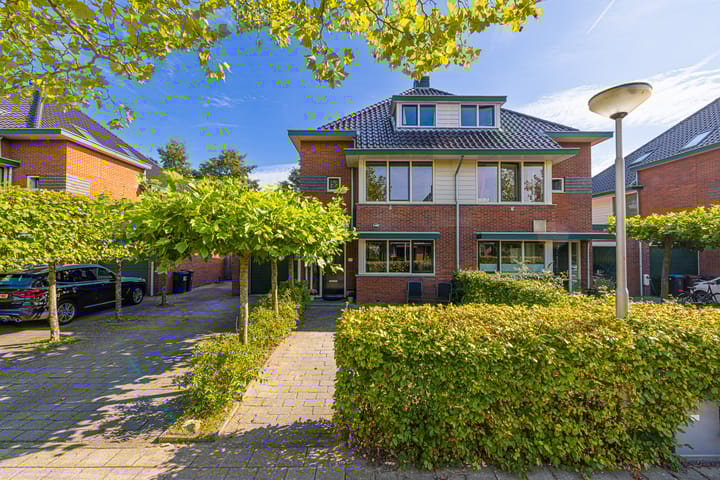 undefined main image