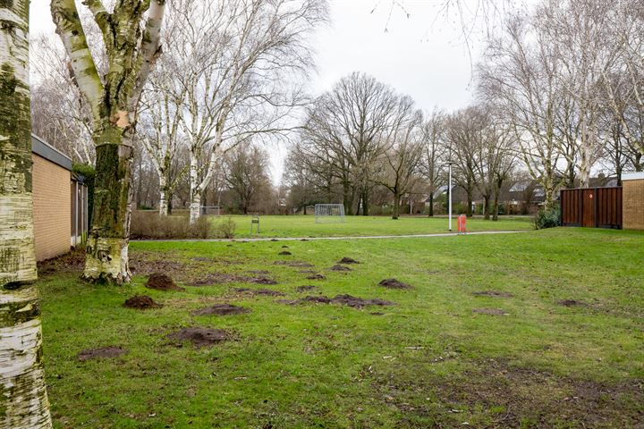 Bekijk foto 45 van Louis van Tulderstraat 78