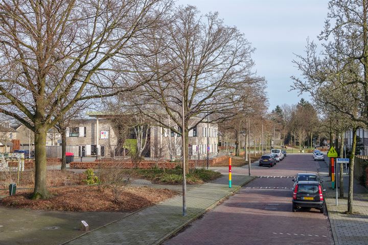 Bekijk foto 3 van Bosveld 110