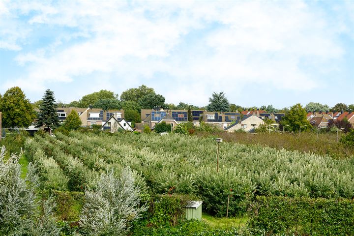 Bekijk foto 43 van Zuidwijk 20