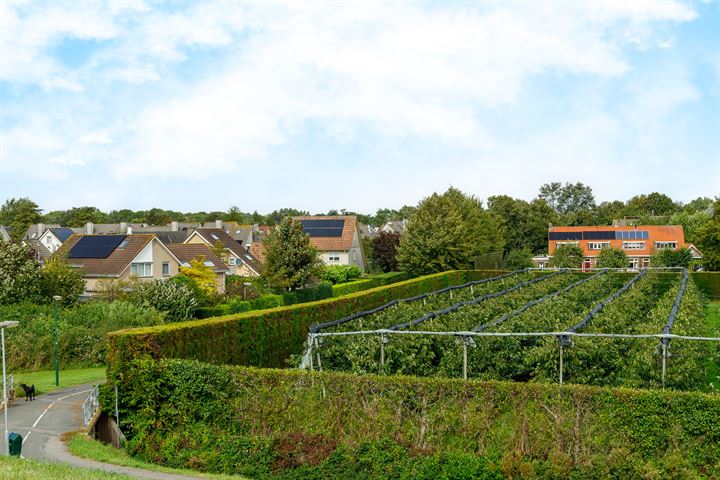 Bekijk foto 42 van Zuidwijk 20