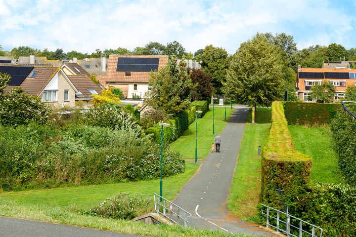 Bekijk foto 53 van Zuidwijk 20