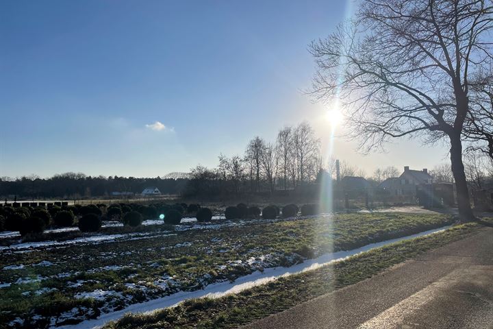 Bekijk foto 4 van Leeuwerikweg