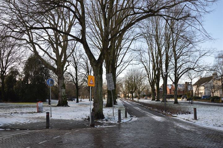 View photo 58 of Heuvellaan 1