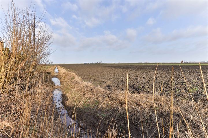 Bekijk foto 36 van Gruytsweg 21