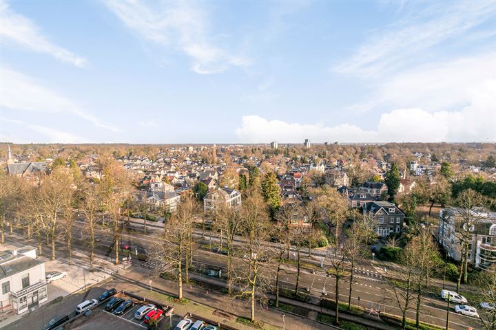 Bekijk foto 31 van Loolaan 41-153