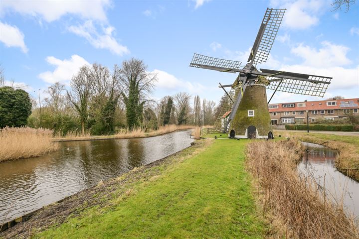 Bekijk foto 35 van Leeuwenbekstraat 11