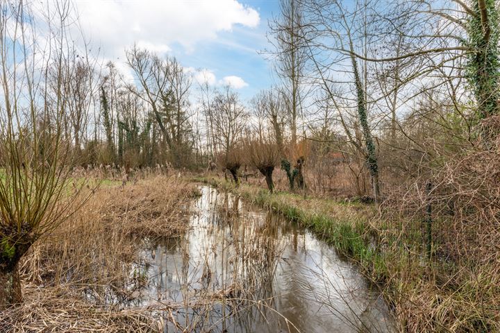 Bekijk foto 46 van Genneperweg 48