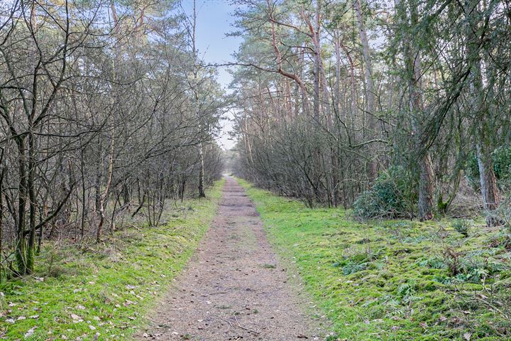 Bekijk foto 33 van 't Hertenspoor 129