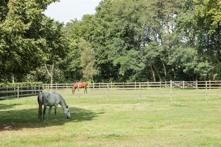 Bekijk foto 66 van Hessenweg 116