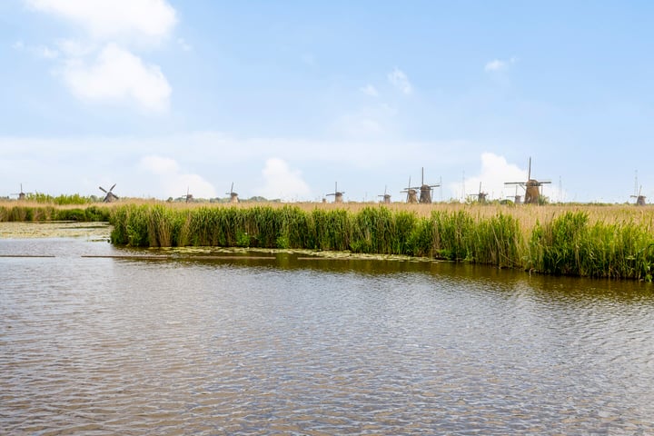 Bekijk foto 51 van West Kinderdijk 219