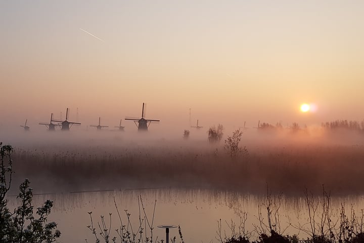 Bekijk foto 70 van West Kinderdijk 219