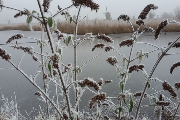 Bekijk foto 75 van West Kinderdijk 219