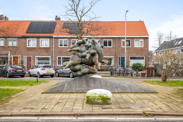 View photo 41 of Rijnlaan 211