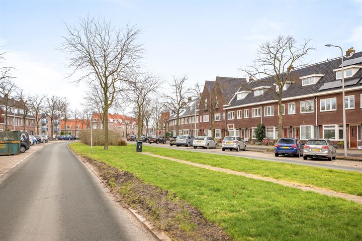 View photo 42 of Rijnlaan 211