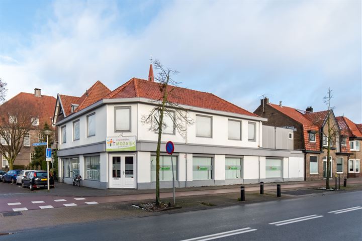 Oldenzaalsestraat 217, Hengelo (OV)