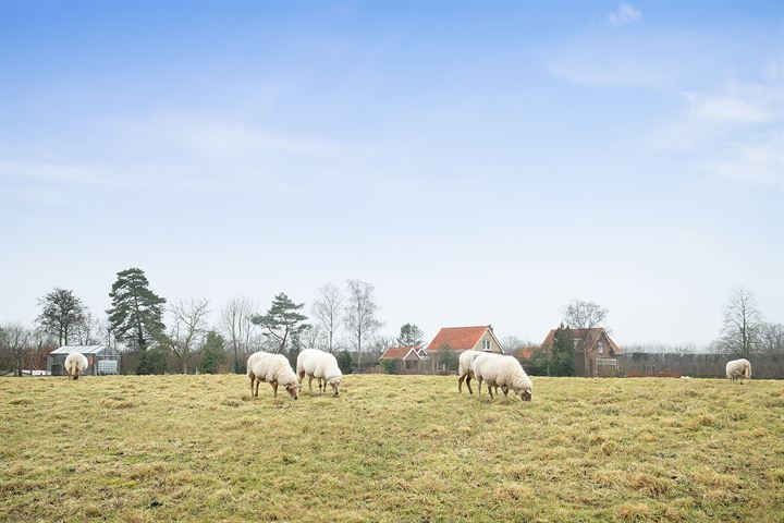 Bekijk foto 50 van Abdijstraat 65