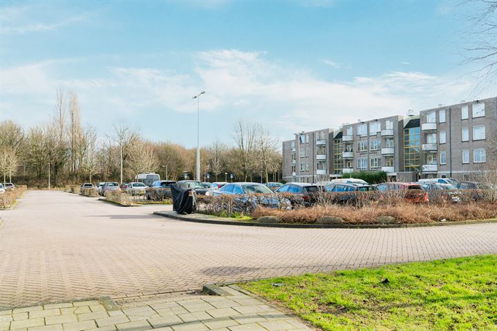 Bekijk foto 25 van Wamelplein 31