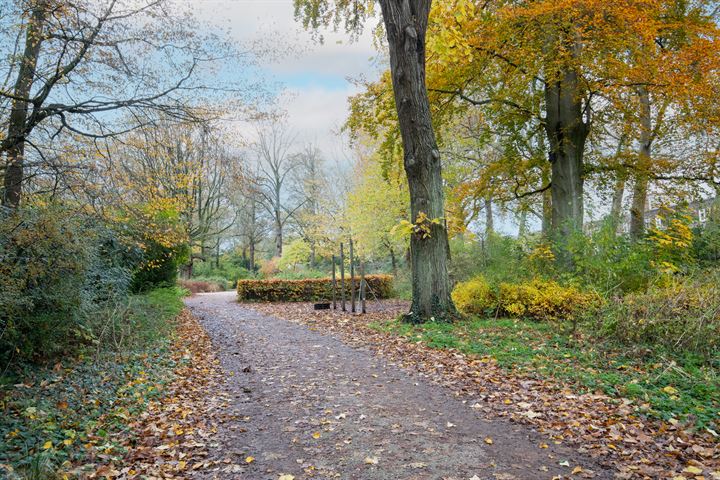 Bekijk foto 37 van Amsterdamsestraatweg 447