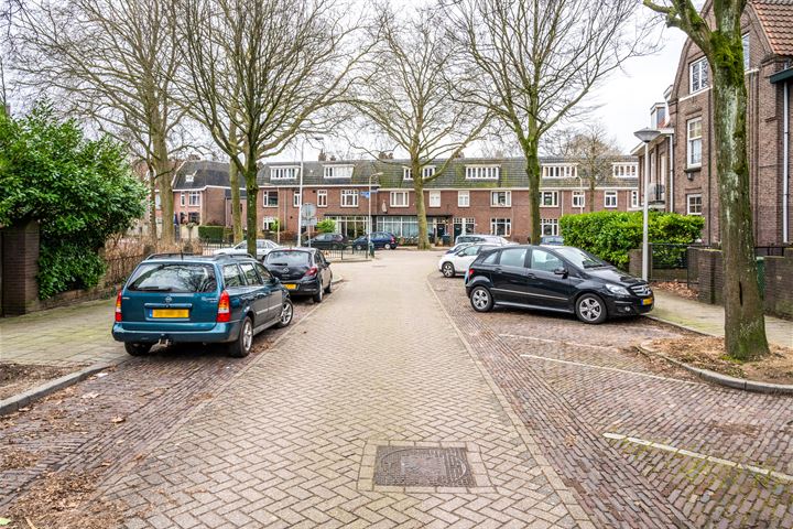 Bekijk foto 41 van Frans Halsstraat 98