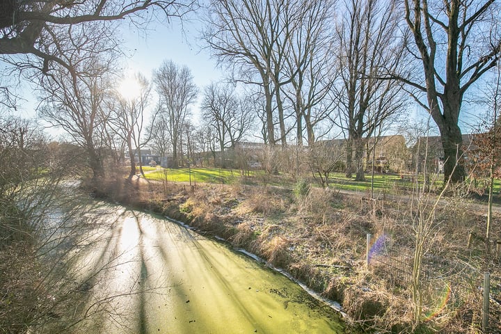 Bekijk foto 34 van Speenkruid 37