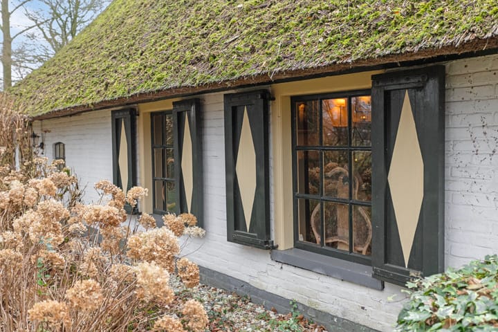 Foto 12 van De Steegde 4