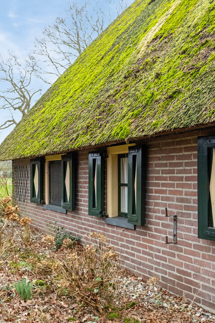 Foto 17 van De Steegde 4