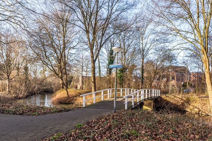 Bekijk foto 26 van Konijnensingel 14