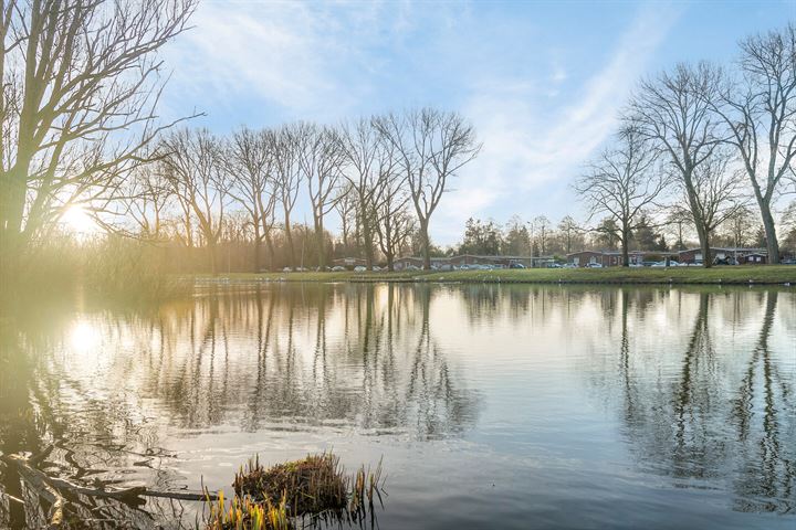 View photo 38 of Verboomstraat 291