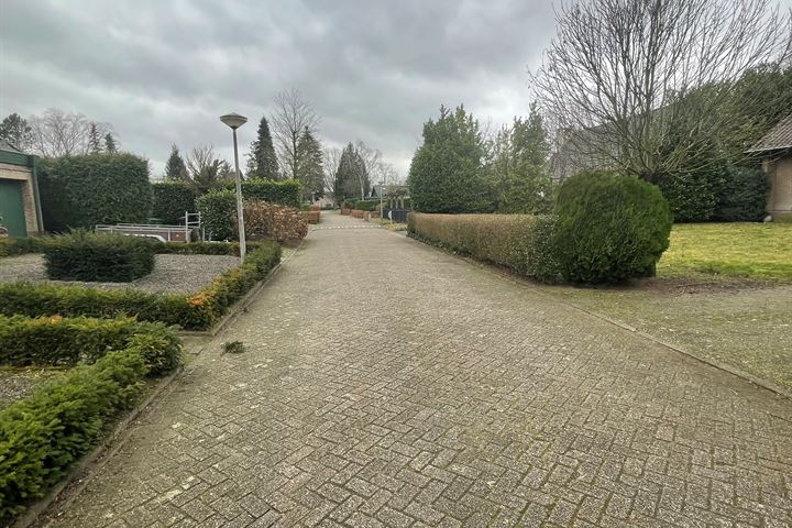 Bekijk foto 3 van Laarpark 20