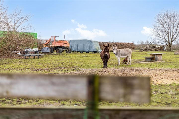 Bekijk foto 30 van Veldensteinlaan 8