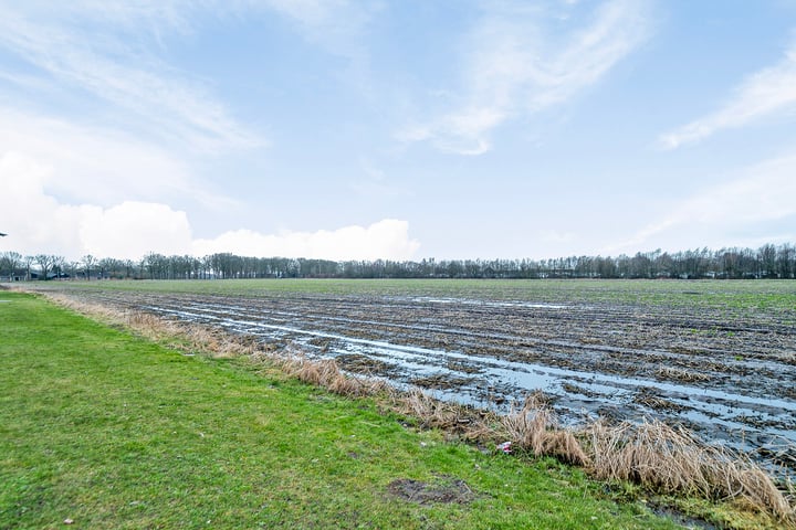 View photo 41 of Pinksterbloemweg 3