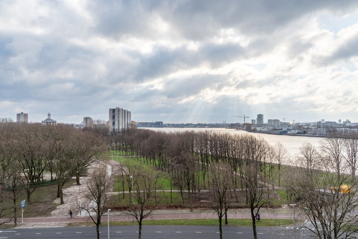 Bekijk foto 38 van Oostmaaslaan 346