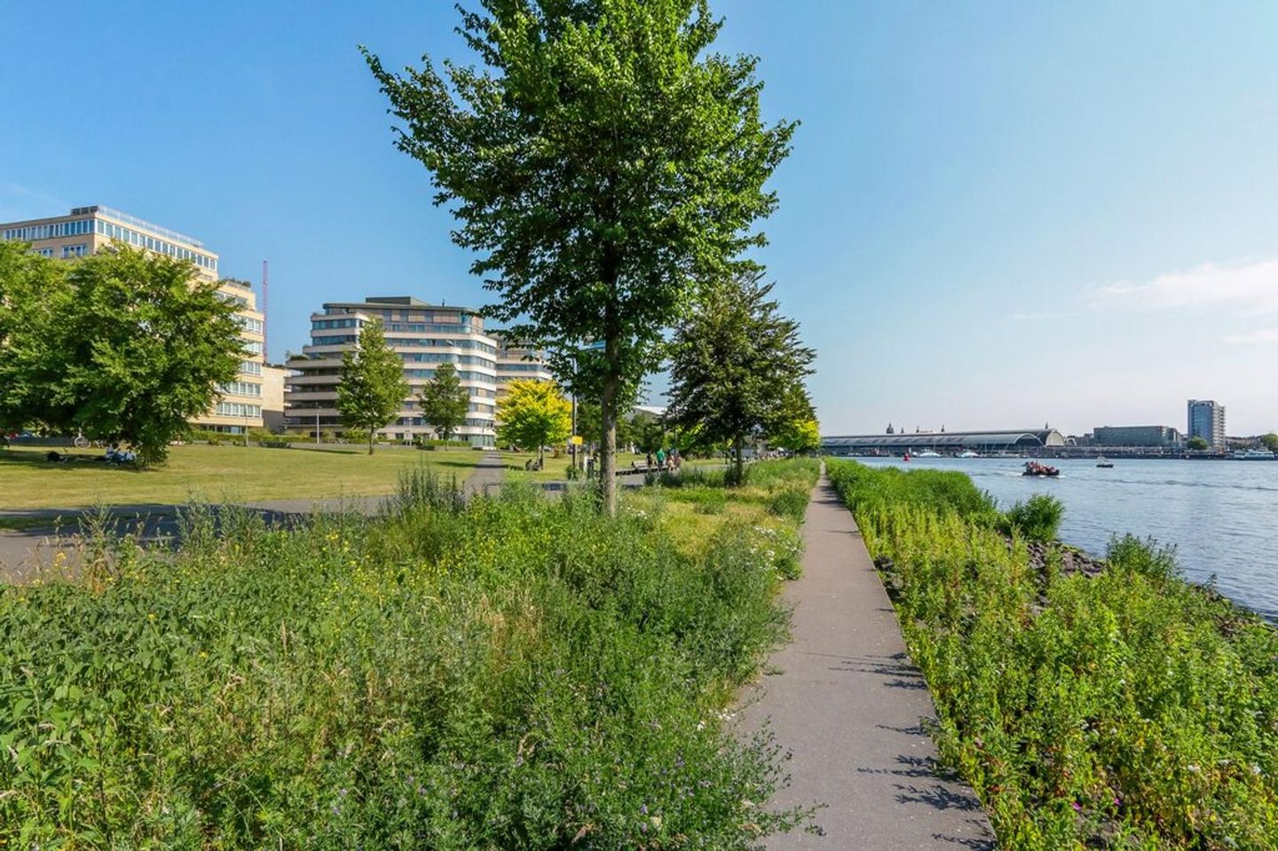 Foto 4 van Spadinalaan 72