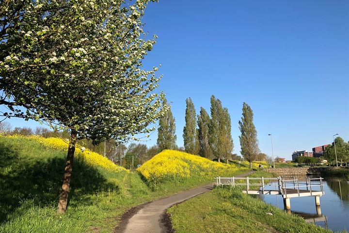 Bekijk foto 57 van Ruisvoornvijver 7