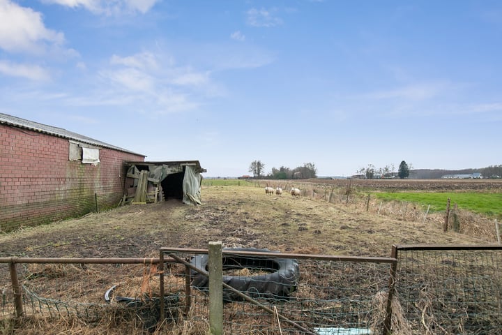 Bekijk foto 38 van Loosterweg 13-A