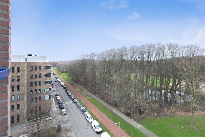 Bekijk foto 3 van Berberisweg 262