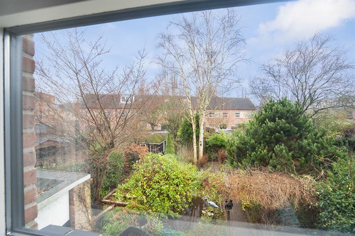 View photo 25 of Amberboomstraat 17