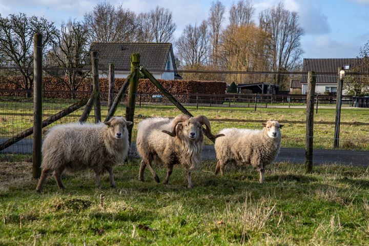 Bekijk foto 2 van Ganzert 4-A