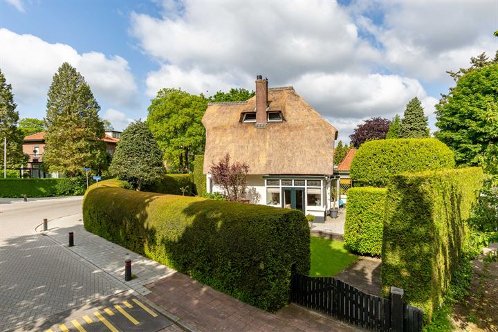 Bekijk foto 46 van Prins Hendriklaan 62