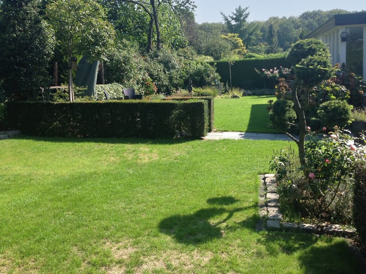 Photo 29 of Hulstlaan 12