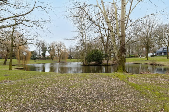 Photo 31 of Hulstlaan 12