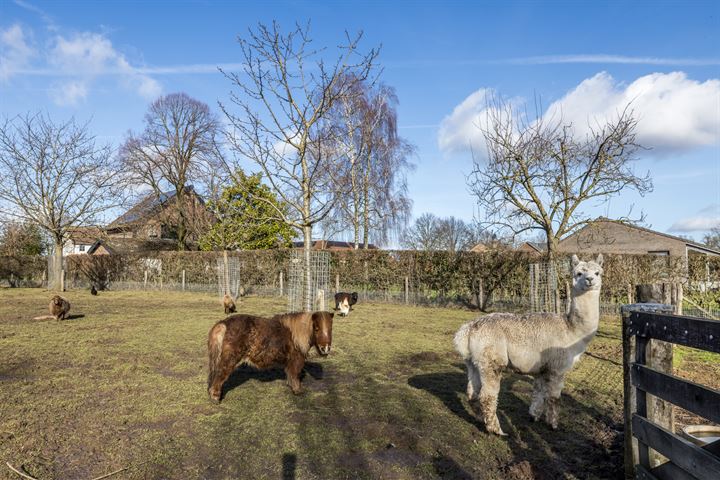 Bekijk foto 64 van Retersbekerweg 58