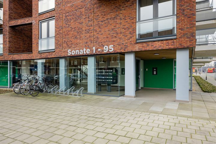 Bekijk foto 19 van Sonate 65