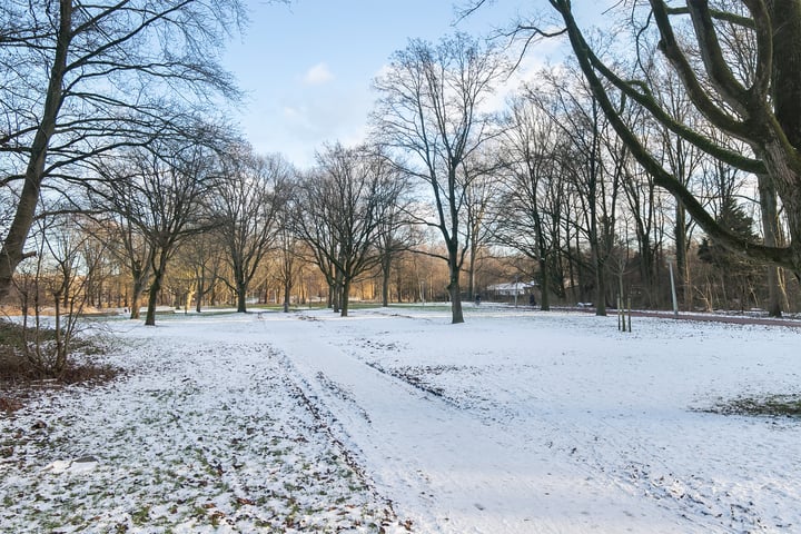 Bekijk foto 30 van Wijnand Nuijenstraat 99