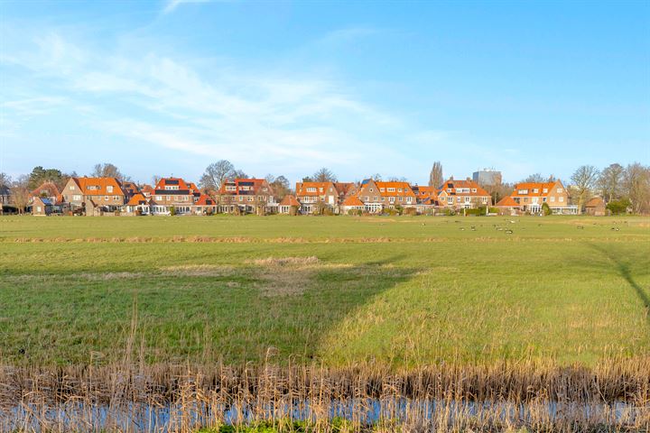 Bekijk foto 40 van Laan van Alverna 9