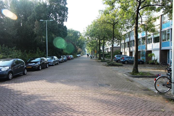 Bekijk foto 19 van Van der Boechorststraat 46-A