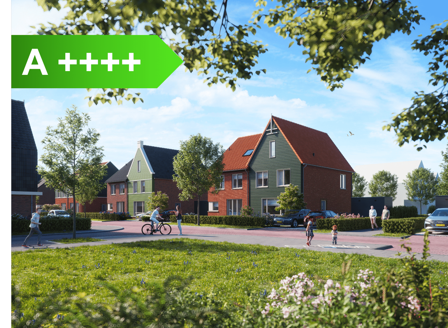 Foto 1 van Raaigras 17